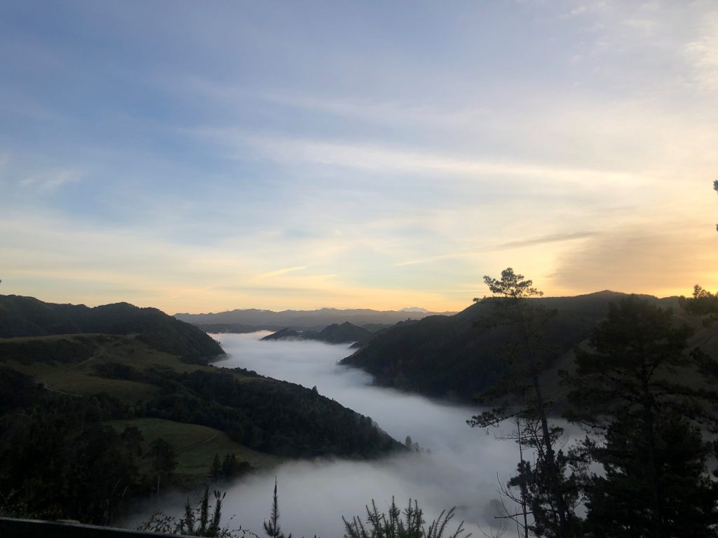 whanganui boat trip